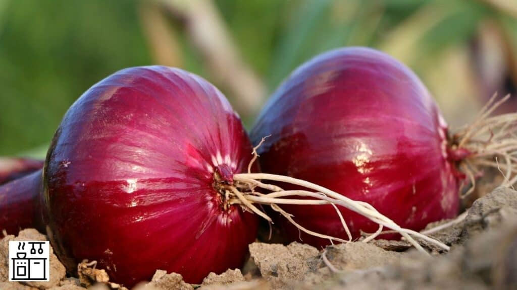 Image of onions lying on the ground