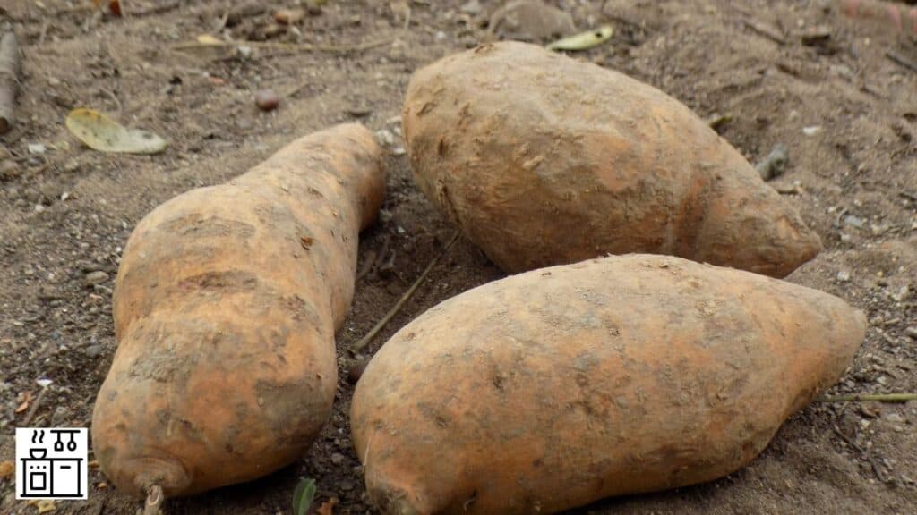 Image of sweet potatoes going bad