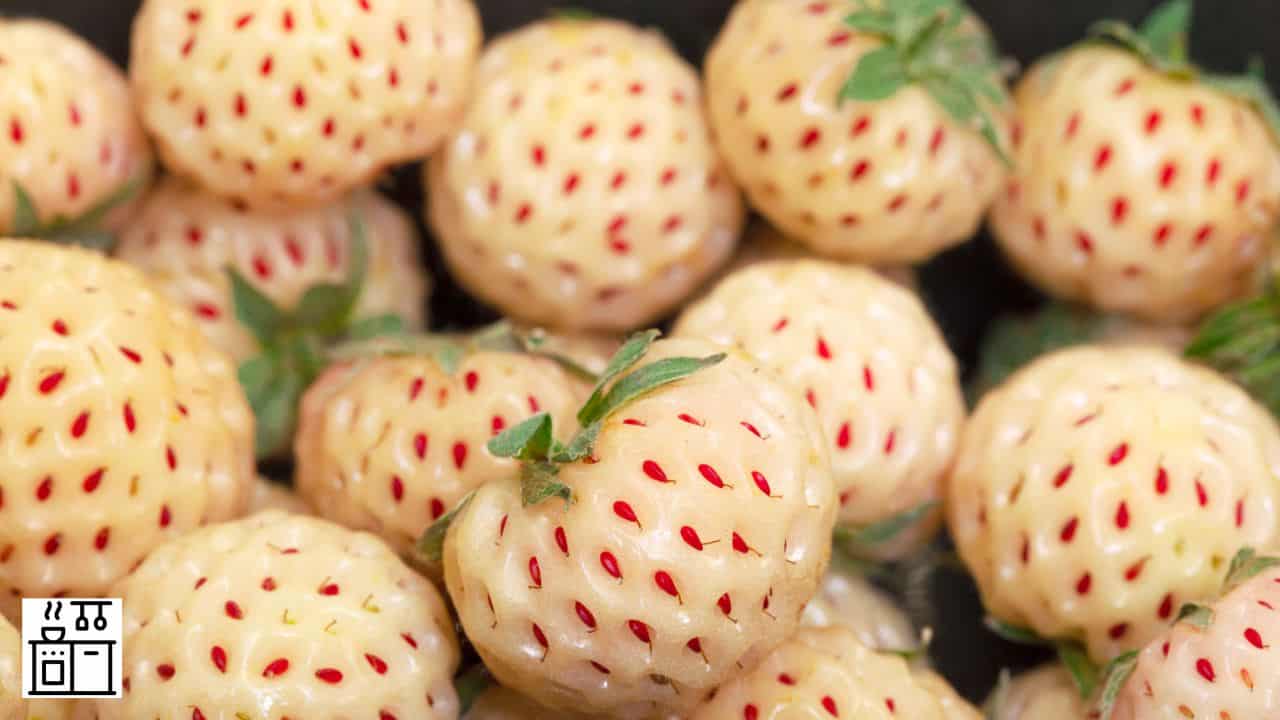 A Unique Strawberry that Tastes Like Pineapple + 13 Popular Ones