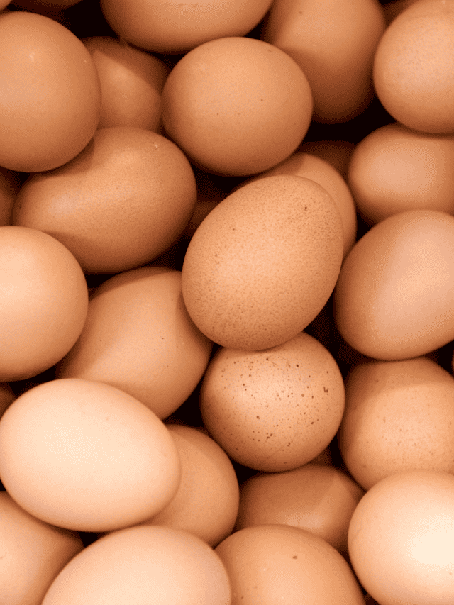 Leaving Eggs in The Car